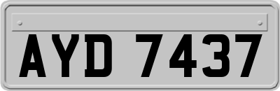 AYD7437
