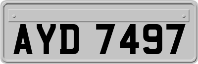 AYD7497