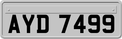 AYD7499