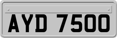 AYD7500