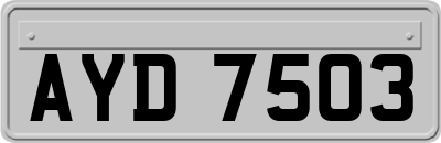 AYD7503