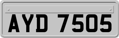 AYD7505