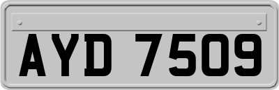 AYD7509
