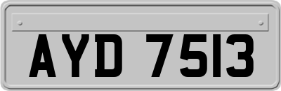 AYD7513