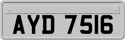 AYD7516