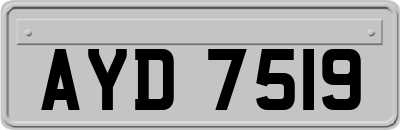 AYD7519