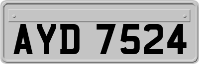 AYD7524