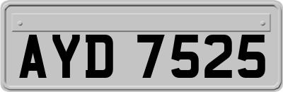 AYD7525
