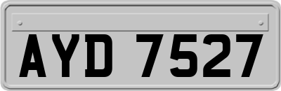 AYD7527