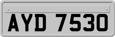 AYD7530