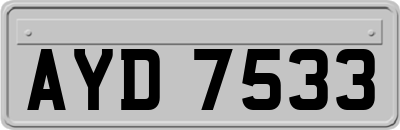 AYD7533