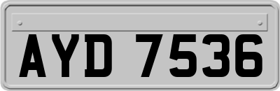 AYD7536
