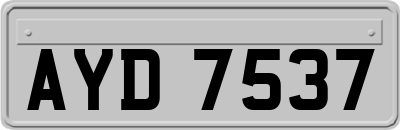 AYD7537