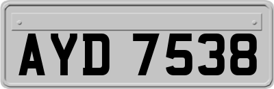 AYD7538