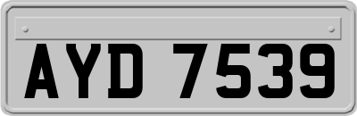 AYD7539