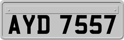 AYD7557