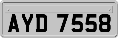 AYD7558