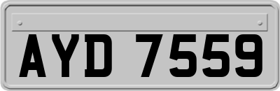 AYD7559