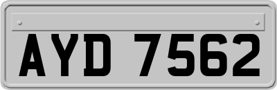 AYD7562