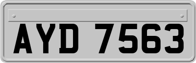 AYD7563
