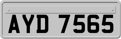 AYD7565