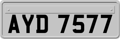 AYD7577