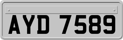 AYD7589