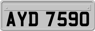 AYD7590