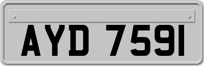 AYD7591