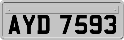 AYD7593