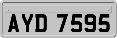 AYD7595