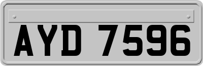 AYD7596