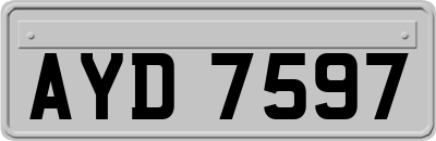 AYD7597