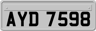 AYD7598