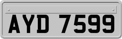 AYD7599