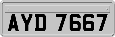 AYD7667