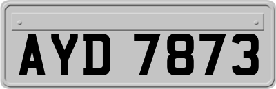 AYD7873
