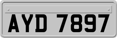 AYD7897