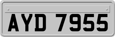 AYD7955