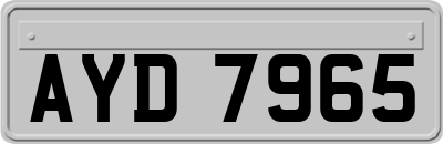 AYD7965