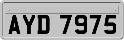 AYD7975