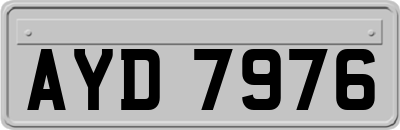 AYD7976