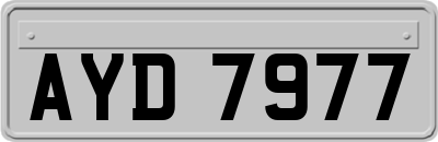 AYD7977