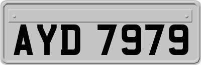 AYD7979