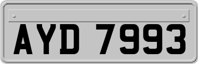 AYD7993
