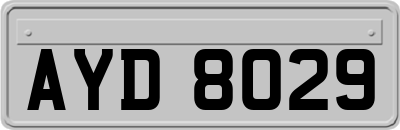 AYD8029