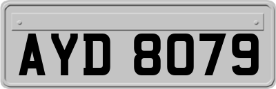 AYD8079
