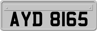 AYD8165