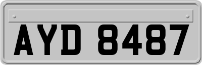 AYD8487