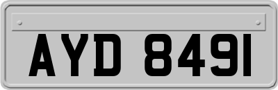 AYD8491